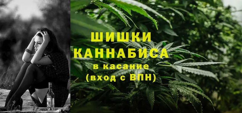 KRAKEN онион  продажа наркотиков  маркетплейс наркотические препараты  Марихуана Amnesia  Опочка 